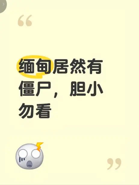 《缅甸僵尸出土事件》现场全程录像揭秘-缅北僵尸出土事件真相-最新高清完整版在线免费播放