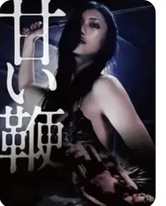 《甜蜜皮鞭》-日本经典剧情片甜蜜皮鞭HD高清完整版在线观看-中文字幕未删减资源免费播放-1080P超清画质满天星系列