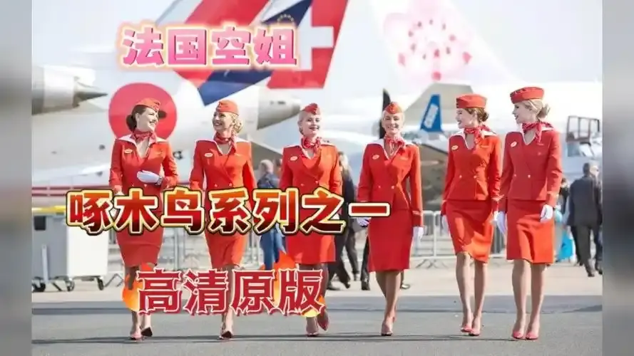 《法国空姐4》资源下载-法国空姐4全集免费观看-法国空姐4超高清完整版无卡顿