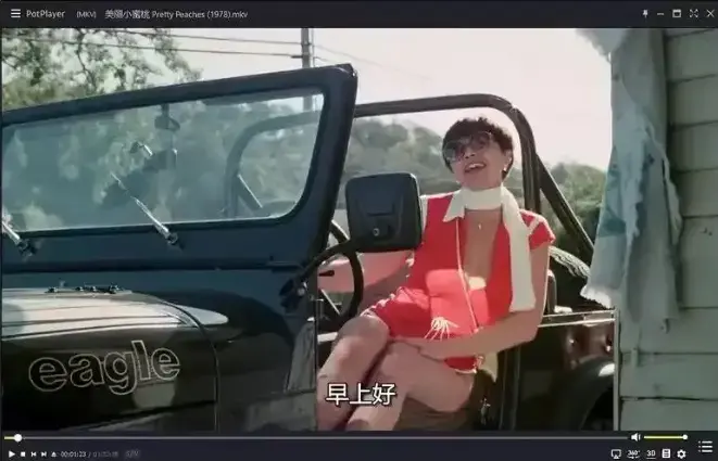 《美丽小蜜桃》1978完整版高清中字-美国经典喜剧电影未删减资源-《美丽小蜜桃》在线免费播放