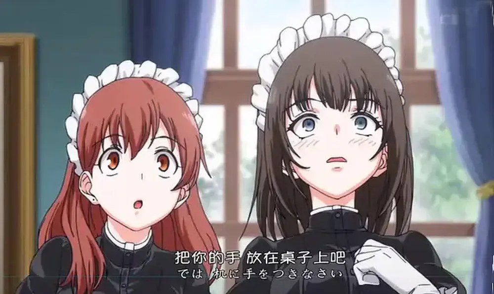 《女仆教育》免费在线观看全集-无广告完整版VS动漫-风车动漫中字版-VS影视