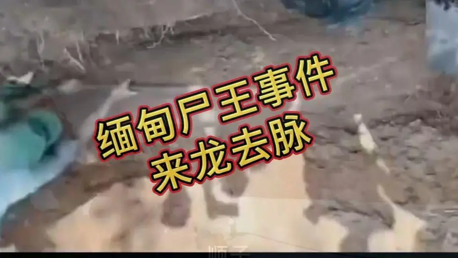 《缅甸僵尸出土事件视频》在线观看 - 诡异真相解密视频免费播放 - 完整版资源下载