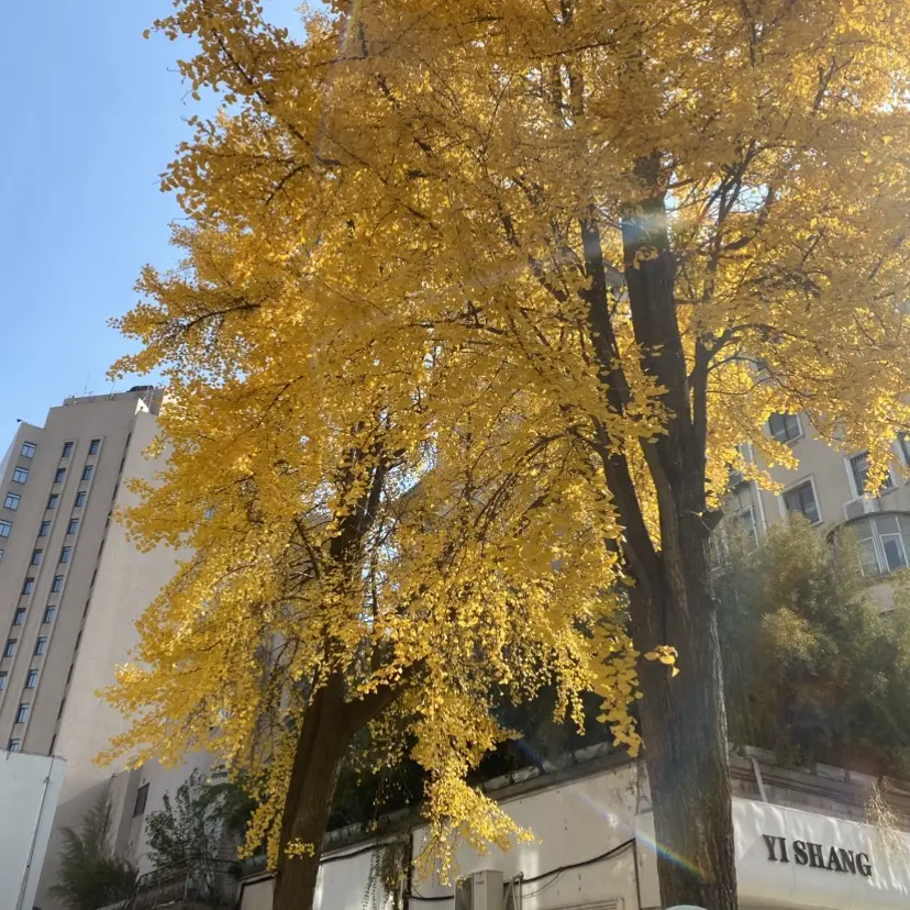 《婚婚逢她》短剧全集免费播放-《婚婚逢她》HD高清完整版在线观看-无删减版资源下载-迅雷网盘+夸克网盘分享